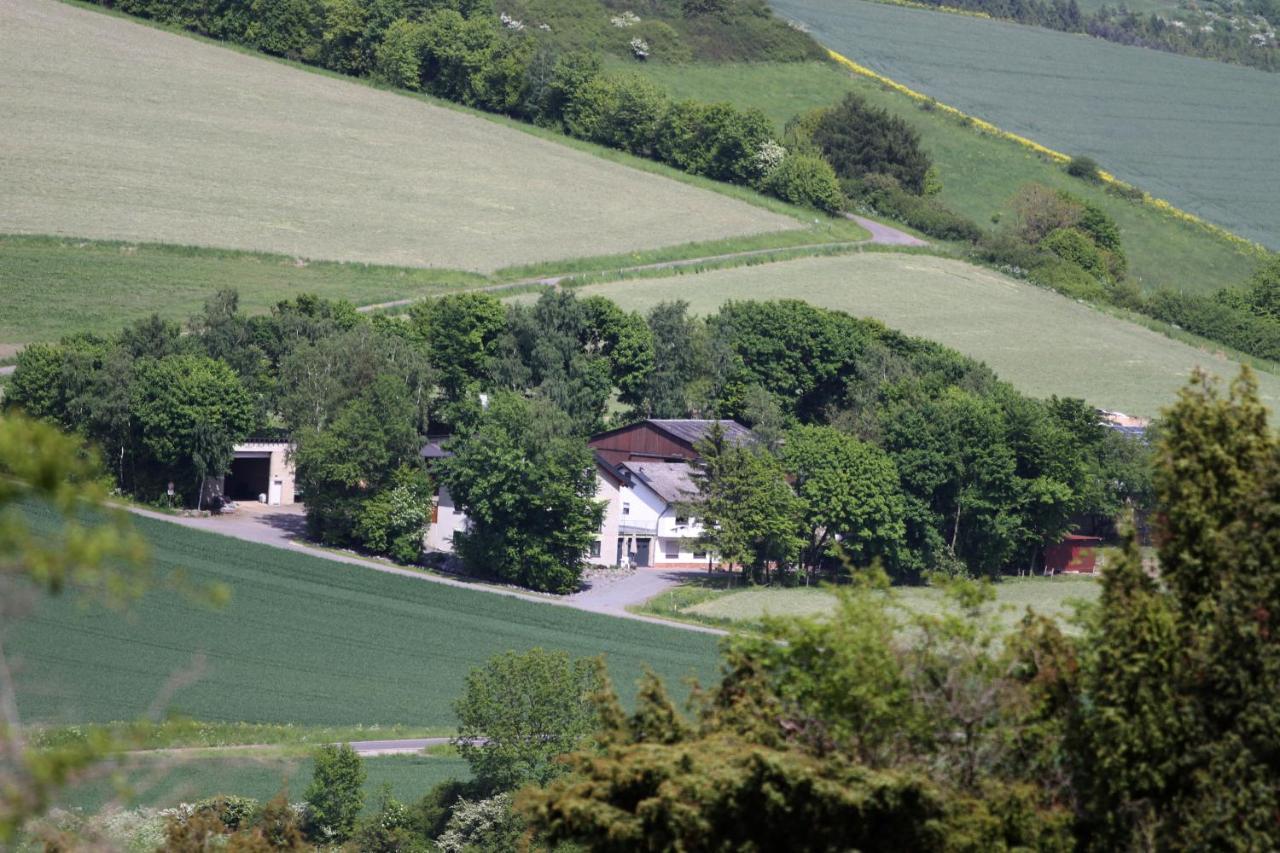 Ferienwohnung Heideblick Volkesfeld المظهر الخارجي الصورة